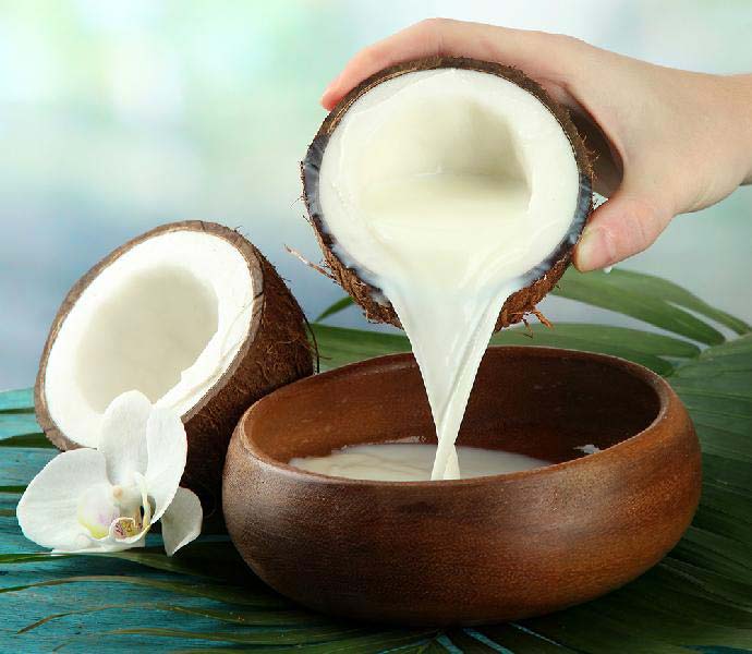 Coconut Milk, for Drinking, Making Tea-Coffee, Packaging Type : Plastic Can, Plastic Pouch