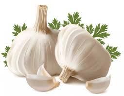 Organic fresh garlic, for Cooking, Fast Food, Snacks, Packaging Type : Net Bags