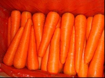 Carrots