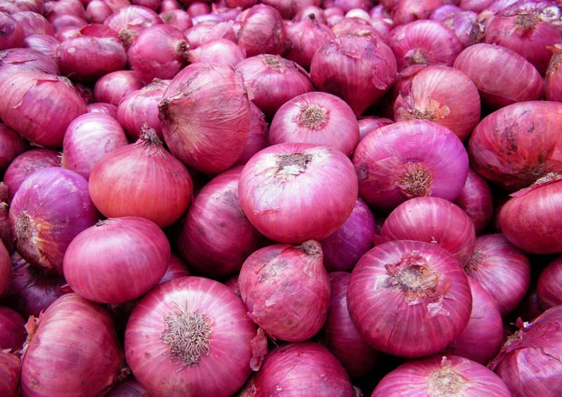 fresh red onion