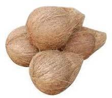 Fully Husked Coconuts