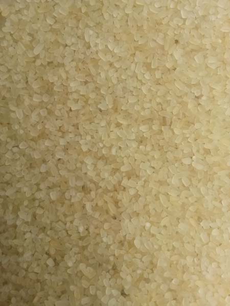 100% Sortex Broken Rice