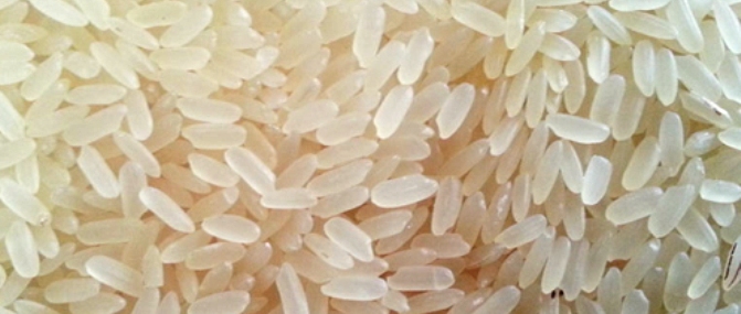 IR 8 Parboiled Non Basmati Rice