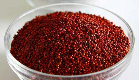 Finger Millet Seeds