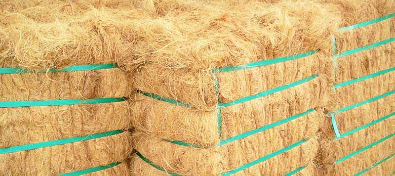 coir fiber