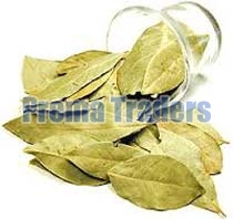 Bay Leaves