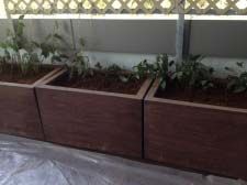 FRP Planters