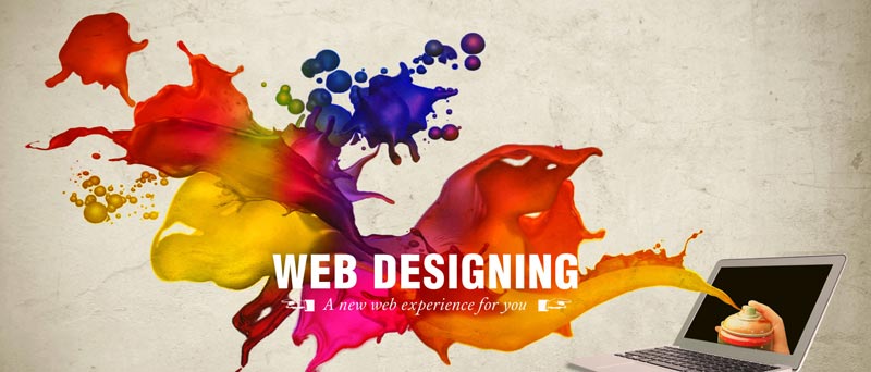 Web Designers Services