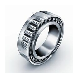 Toroidal Roller Bearing