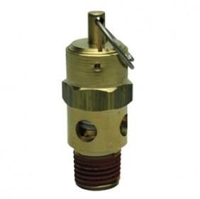 Recicomp Safety Valve