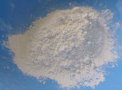 Diatomaceous Earth Clay Powder, for Pesticide, Adsorption, Filter, Purity : 95%