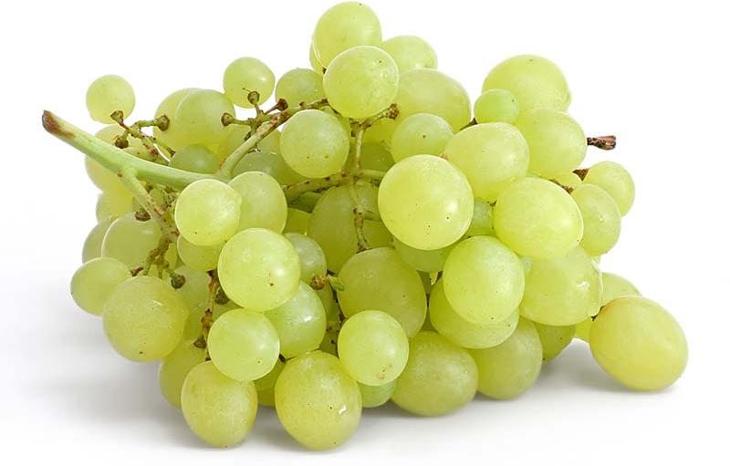 Organic Fresh Grapes, Packaging Type : Curated Box, Wooden Box