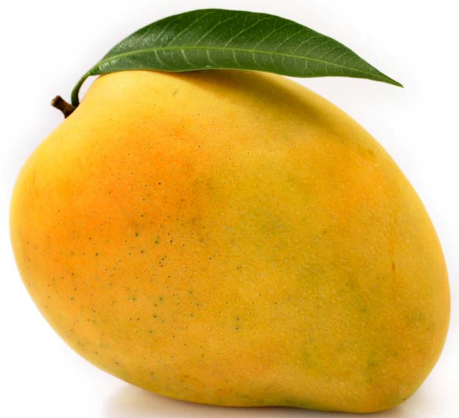 Fresh Mango,fresh mango, Packaging Type : Carton