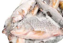 Frozen fish, for Cooking, Food, Making Oil, Feature : Good For Health, Non Harmful, Protein