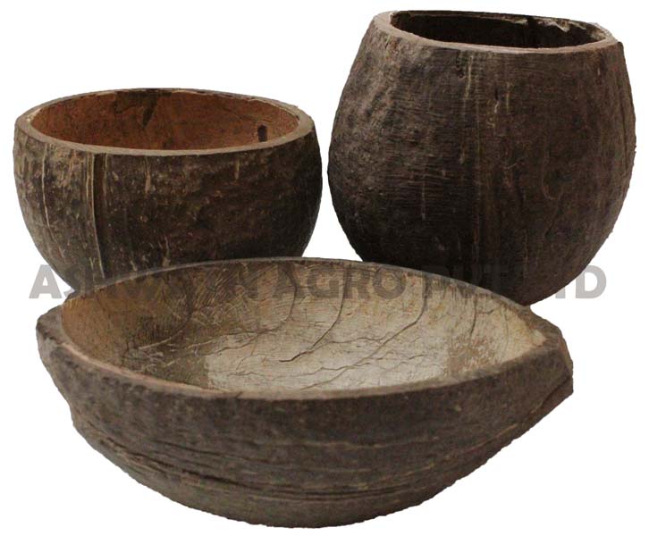 Eco Friendly Coconut Shell Cups