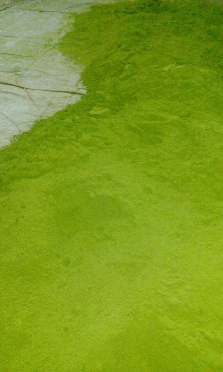 Pure Moringa Leaf Powder Exporters