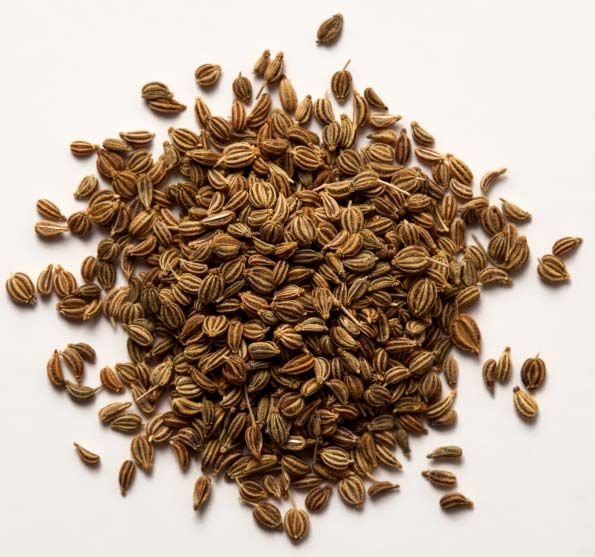 Oregano Seeds