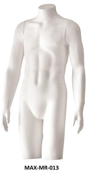 Male Torso