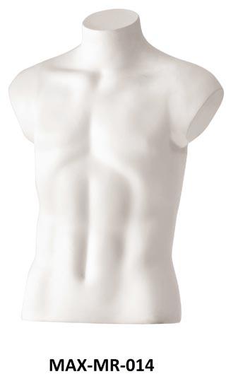 Male Torso