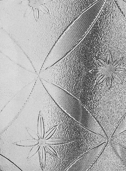 Clear Daisy, for Furniture, Door, Building, Window, Pattern : Printed
