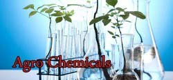 Agrochemical Pesticides
