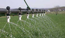 Inorganic Fertilizer Spray