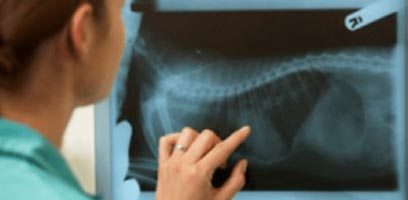 Digital Radiography Services