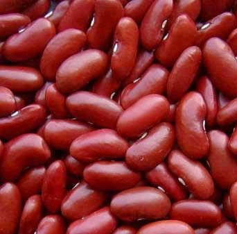 dark red kidney beans