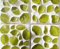 Decorative Wall Tiles