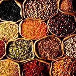 Indian Pulses