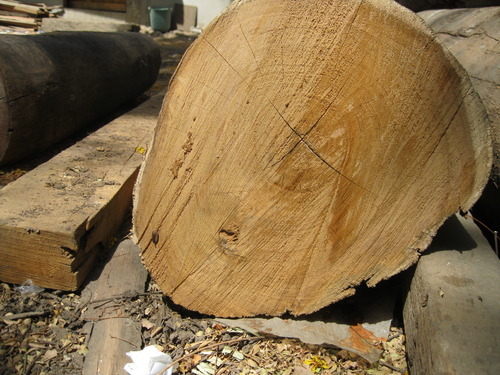 Valsadi Teak Wood Logs