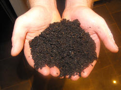 Organic vermicompost, Purity : Excellent
