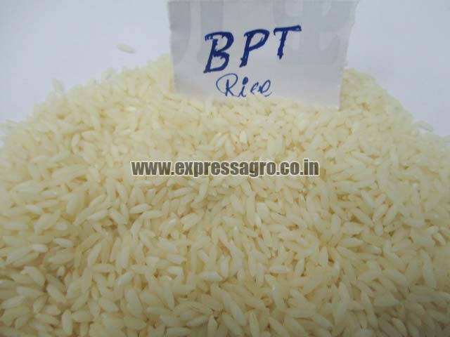BPT Rice