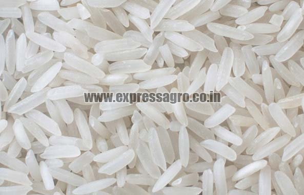 Hard Common sona masoori rice, for Cooking, Packaging Type : Gunny Bag, Plastic Packet