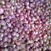 Red Small Onion