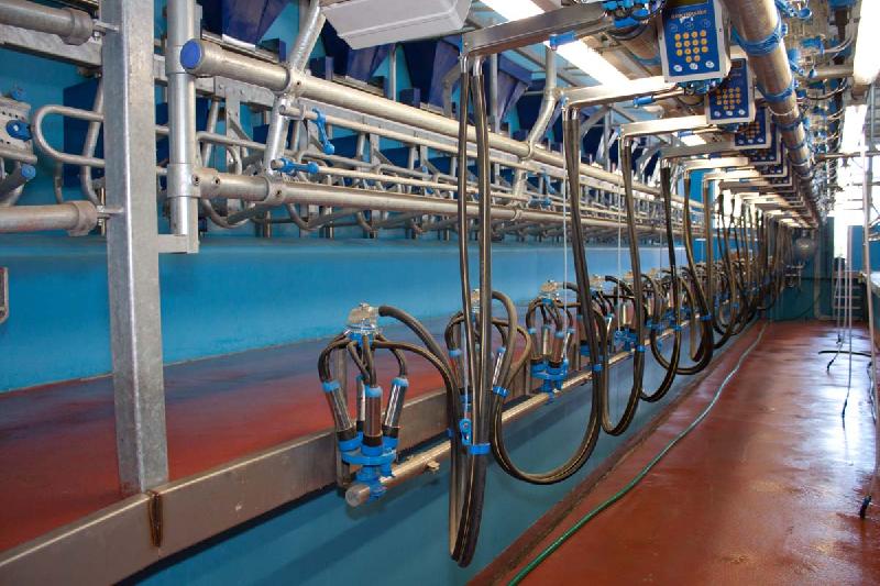 Swingover Milking Parlor