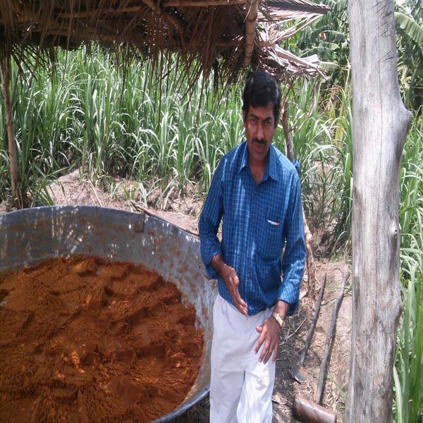 Jaggery powder