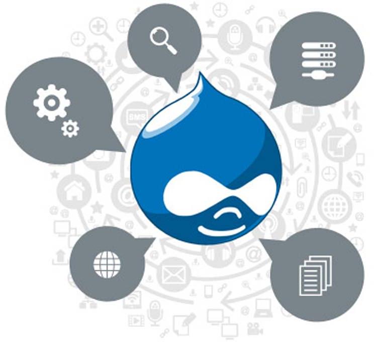 Drupal CMS Web Development