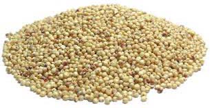 Sorghum Seeds, for Cooking, Style : Dried