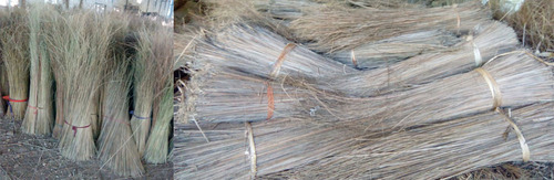 Coconut Broom Raw Material
