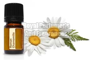 Roman Chamomile Oil, Color : Brown