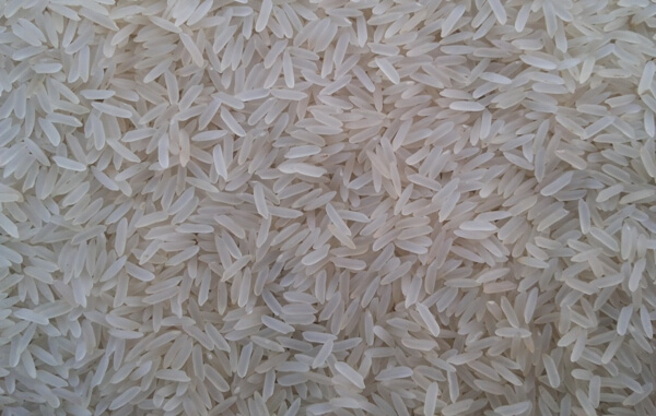 Pr14 Sella Cream Rice