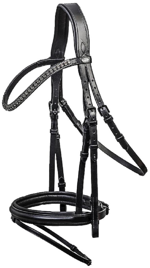 Horse Bridle