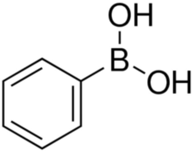 Phenyl Boronic Acid, CAS No. : 98-80-6