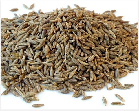 Cumin seeds