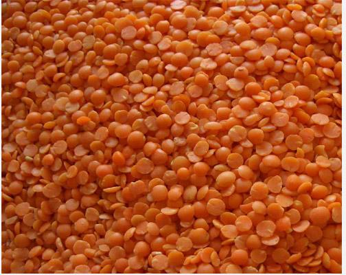 Masoor dal