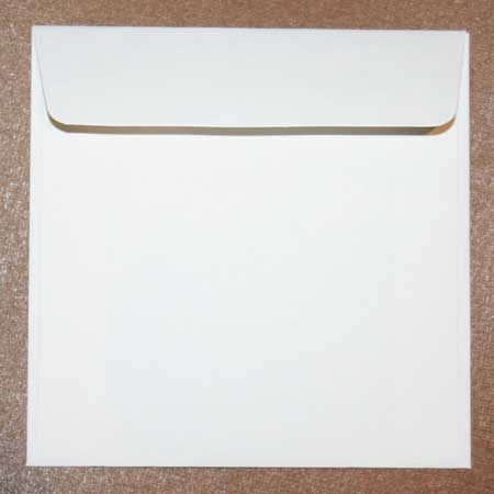 SAE-02 Self Adhesive Envelops