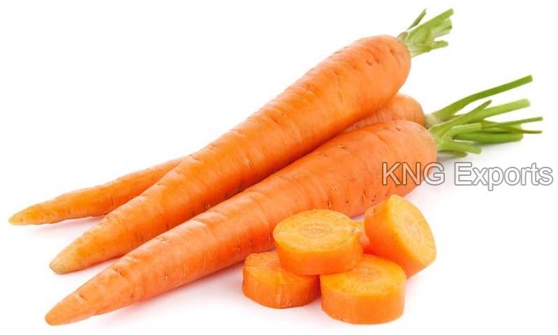 Organic Fresh Carrot, for Food, Packaging Type : Jute Sack, PP Bags
