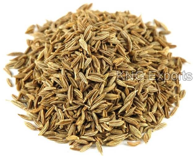 Green Cumin Seeds, for Cooking, Feature : Healthy, Improves Acidity Problem