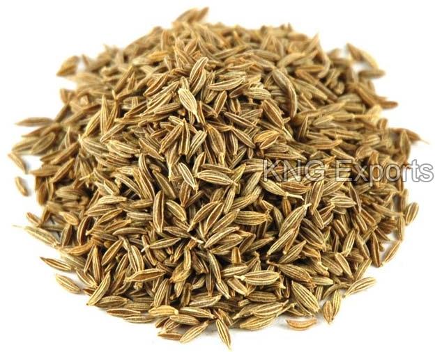 Green Cumin Seeds